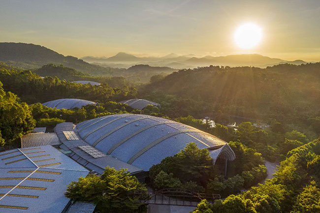 是什么样的工厂，吸引了杨逾越等顶流明星