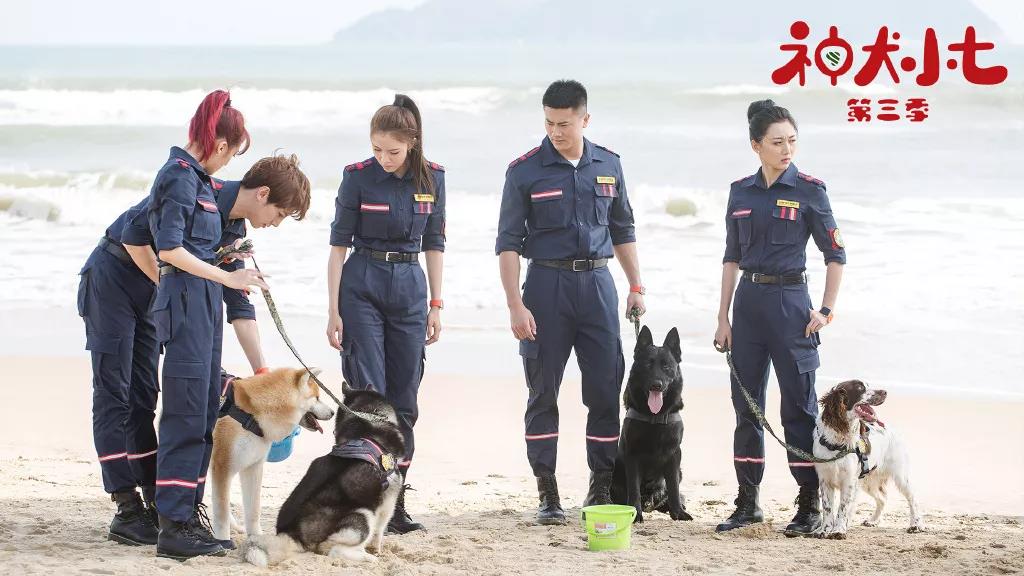 PP电子·5金狮(中国区)游戏官方网站