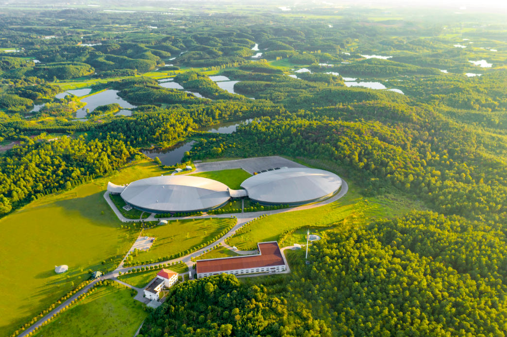 PP电子·5金狮(中国区)游戏官方网站