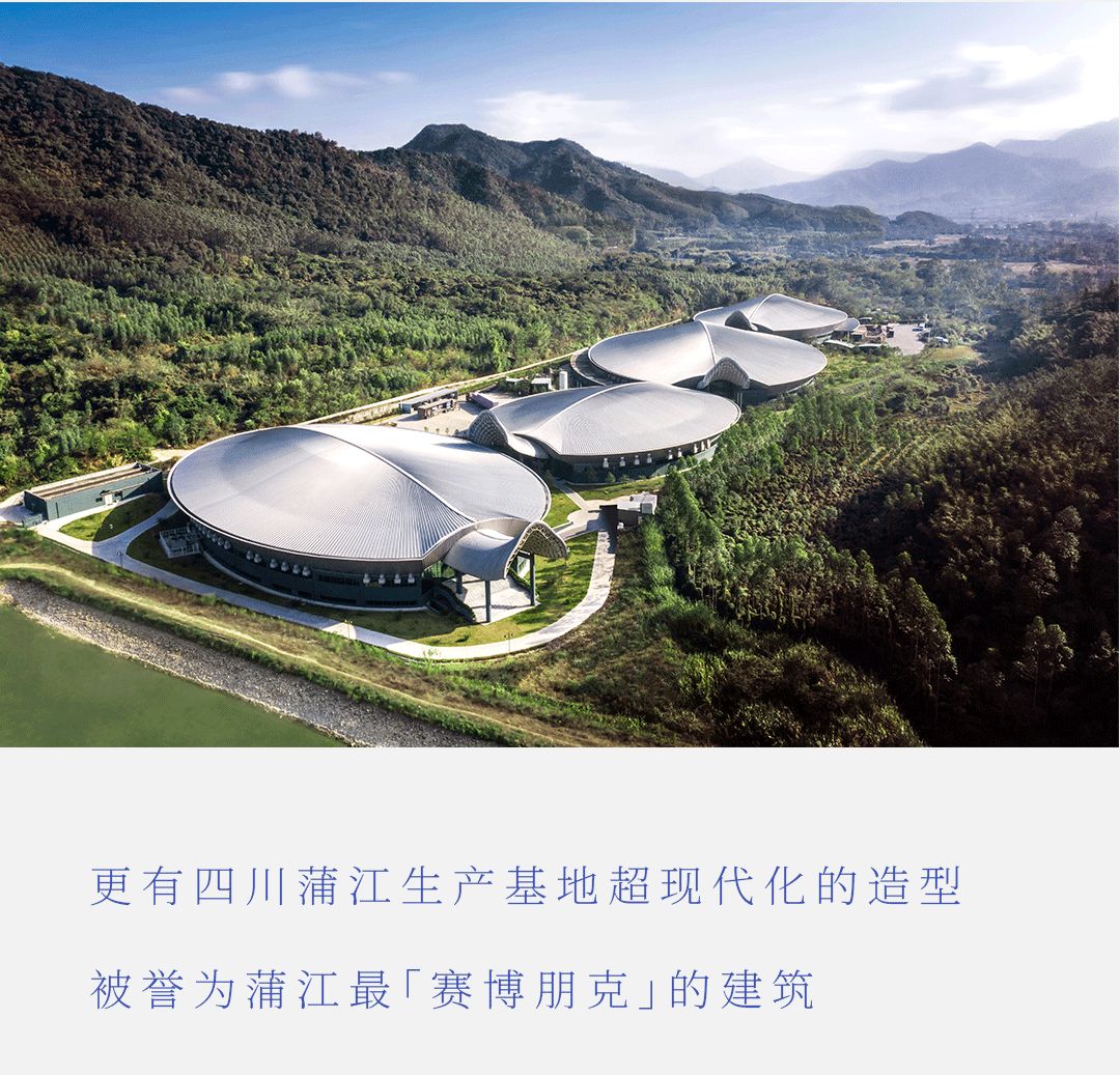 PP电子·5金狮(中国区)游戏官方网站