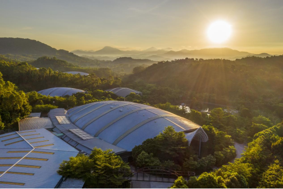 PP电子·5金狮(中国区)游戏官方网站